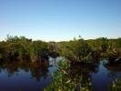 Új beve'<b> -